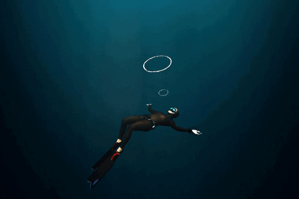 Online freediving theory course